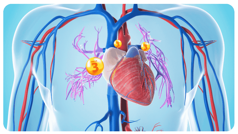 omega3_heart